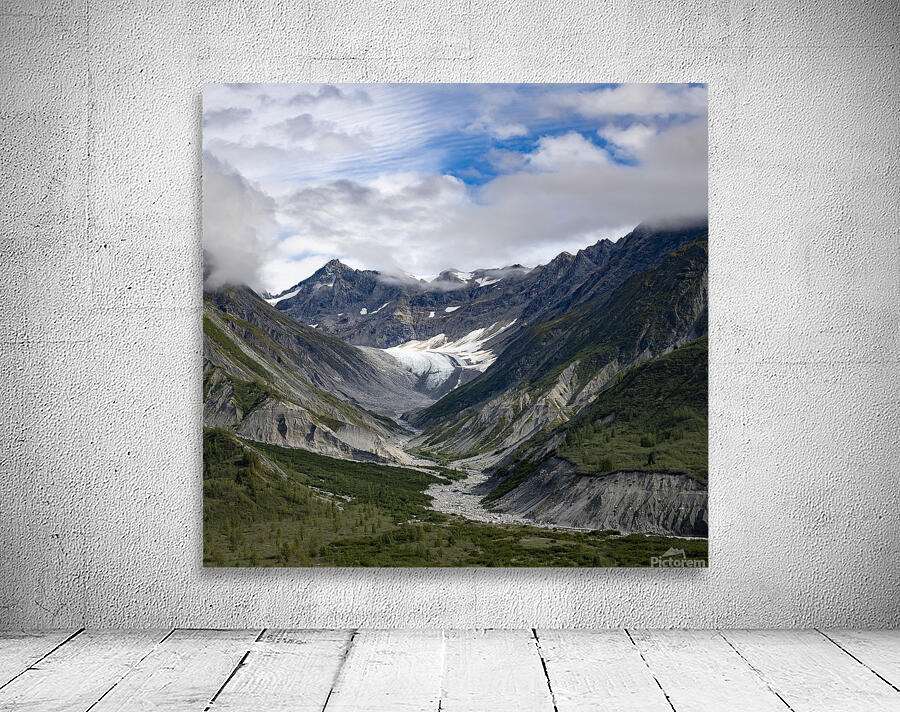 Glacier bay Alaska Wall Preview