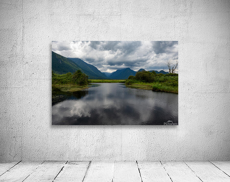 Heron cove Pitt lake B.C Wall Preview