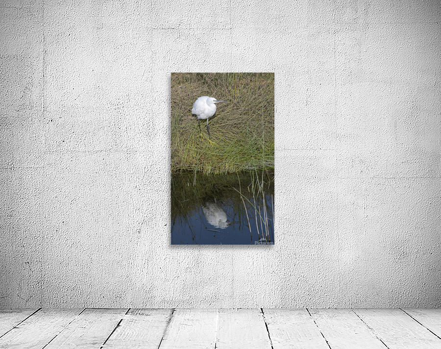 Egert Amboseli National Park Kenya Wall Preview