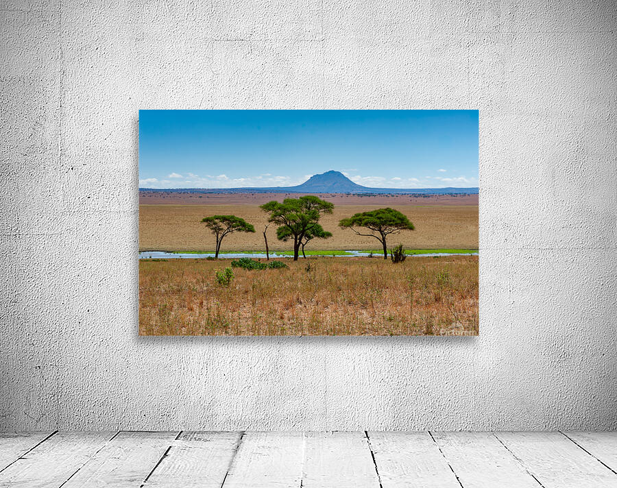 Tarangire National Park Tanzania Africa Wall Preview