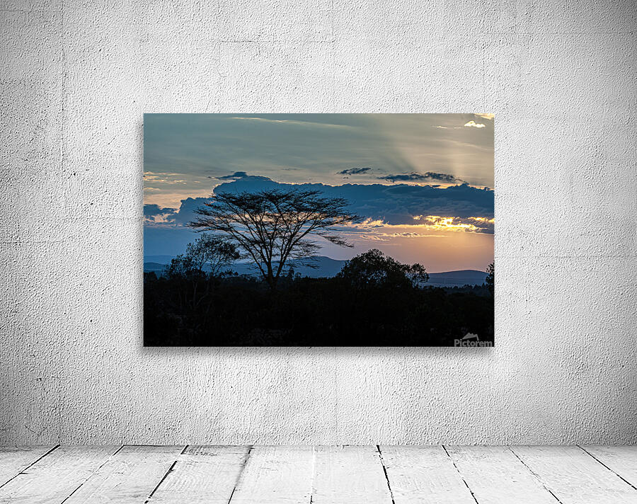 Sweetwaters Kenya Africa Wall Preview