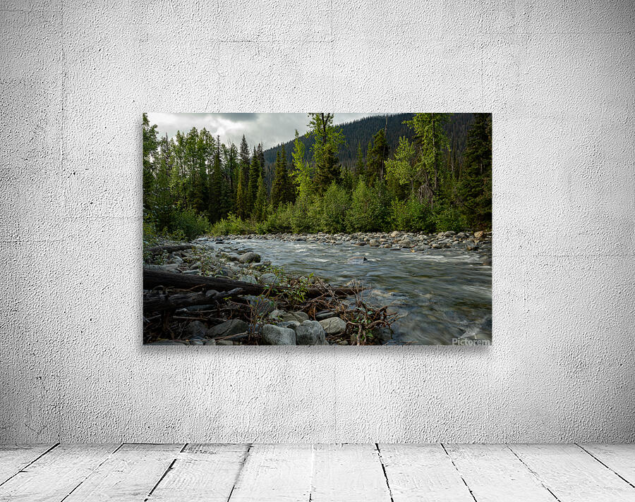Cambie Creek E.C. Manning Provincial Park B.C Wall Preview
