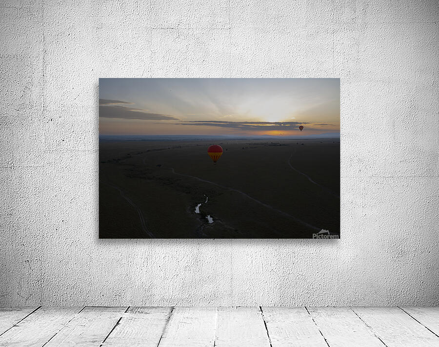 Balloons over Masai Mara Africa Wall Preview