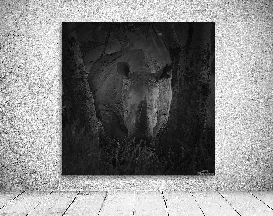 Rhino At Lake Nakuru Africa Wall Preview