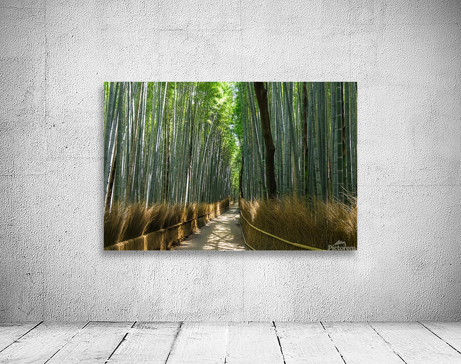 Bamboo forest Kyoto Japan Wall Preview