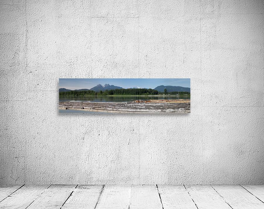 Pano of golden ears Wall Preview