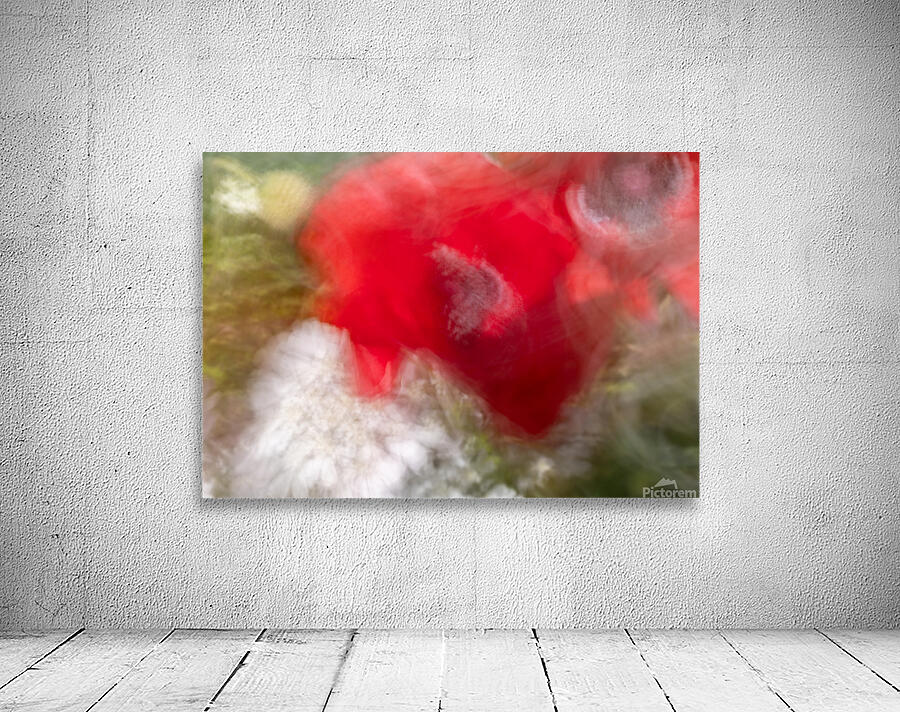 Poppy ICM Wall Preview