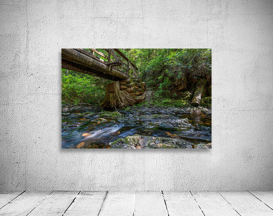 Rolley Lake falls Mission British Columbia Wall Preview