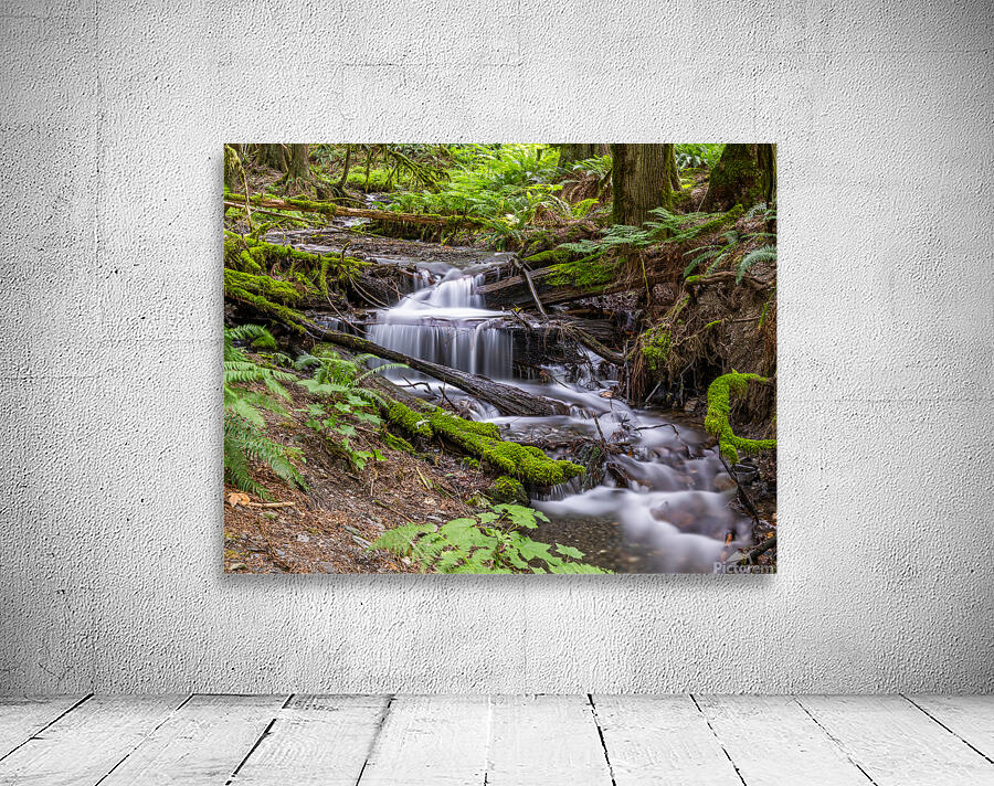 Bridal Veil Falls British Columbia Creek Wall Preview