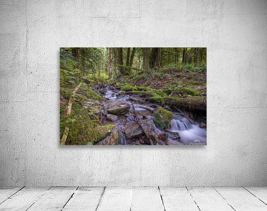 Bridal Creek Chilliwack British Columbia Wall Preview