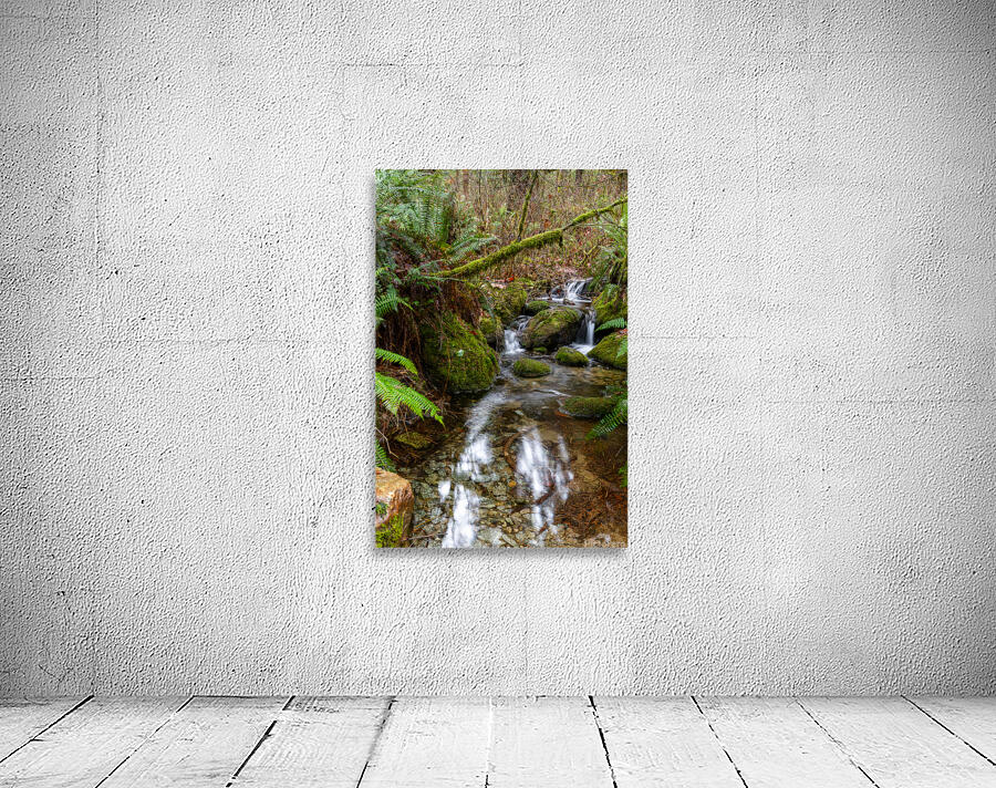 Flowing Creek at golden ears provincial Park British Columbia 2. Wall Preview