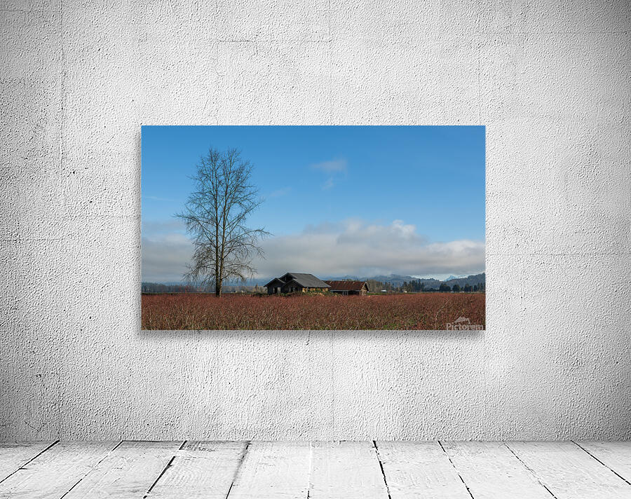 Old Farm House Glen Valley British Columbia Wall Preview