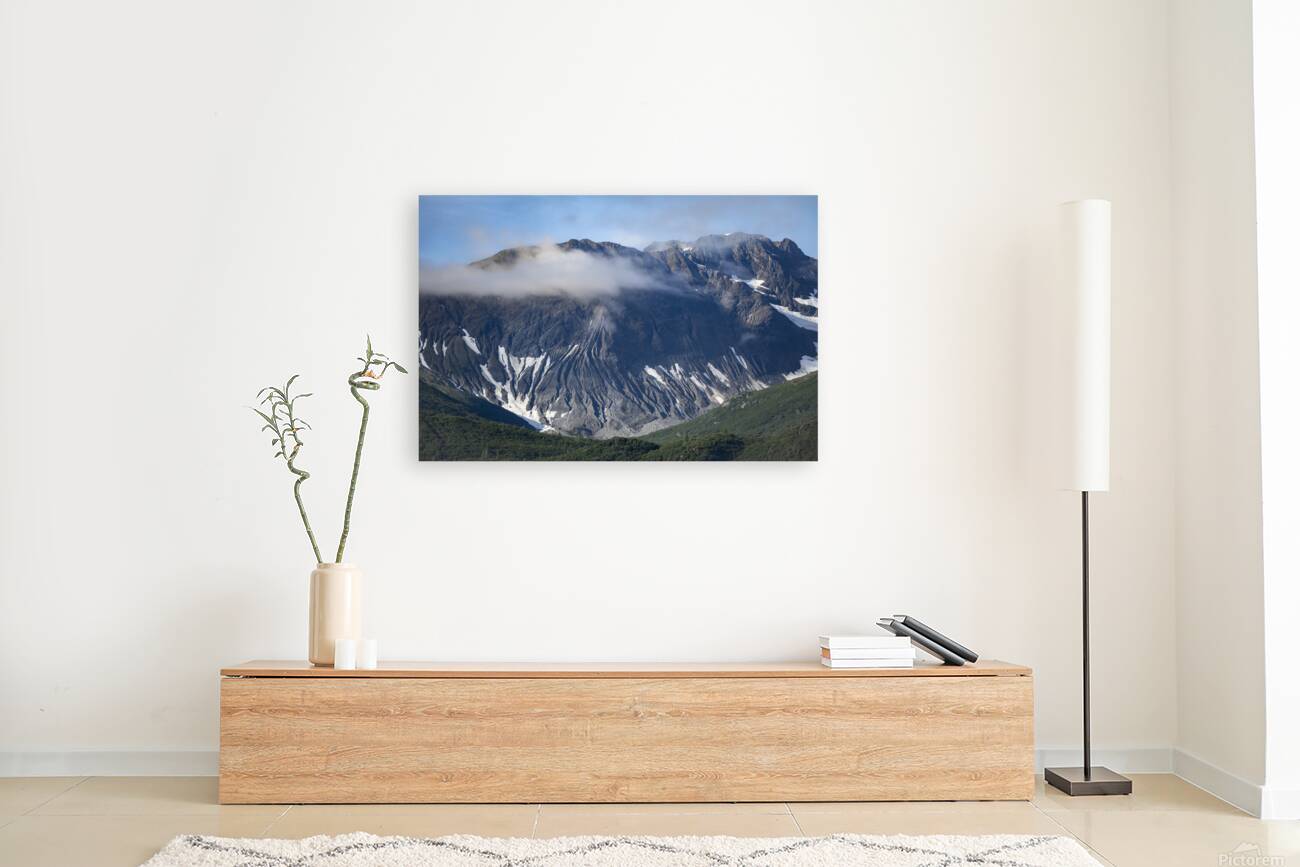 Glacier bay Alaska Reproduction