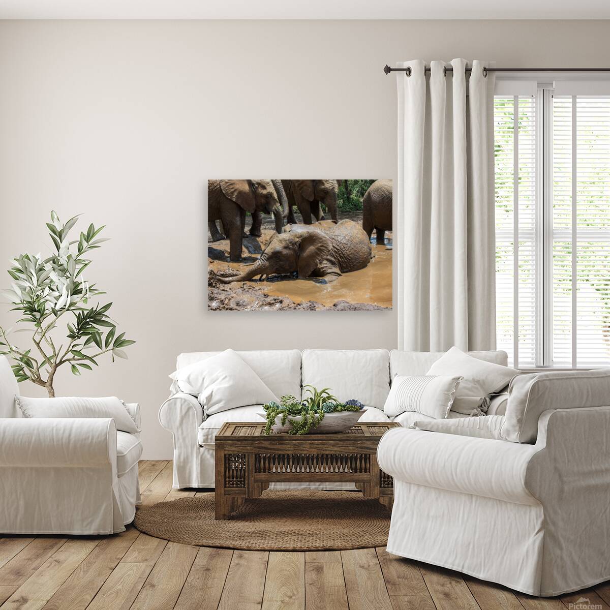 Orphaned elephants rehab center Sheldrick wildlife Reproduction