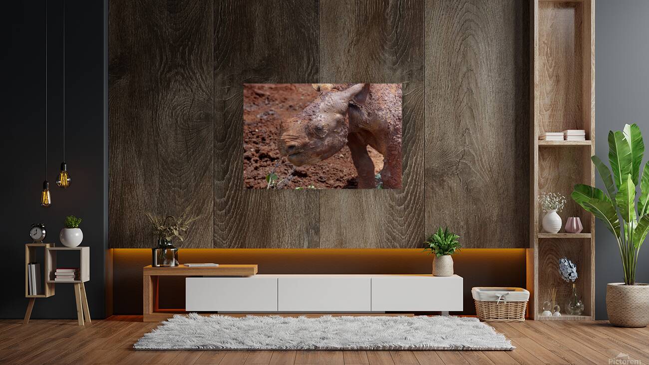 Sheldrick wildlife trust Nairobi Reproduction