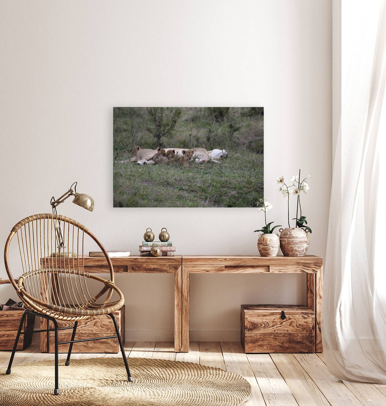 Lions masai mara Reproduction