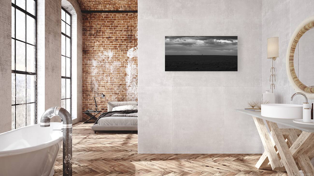 Ashnil Masai Mara Reproduction