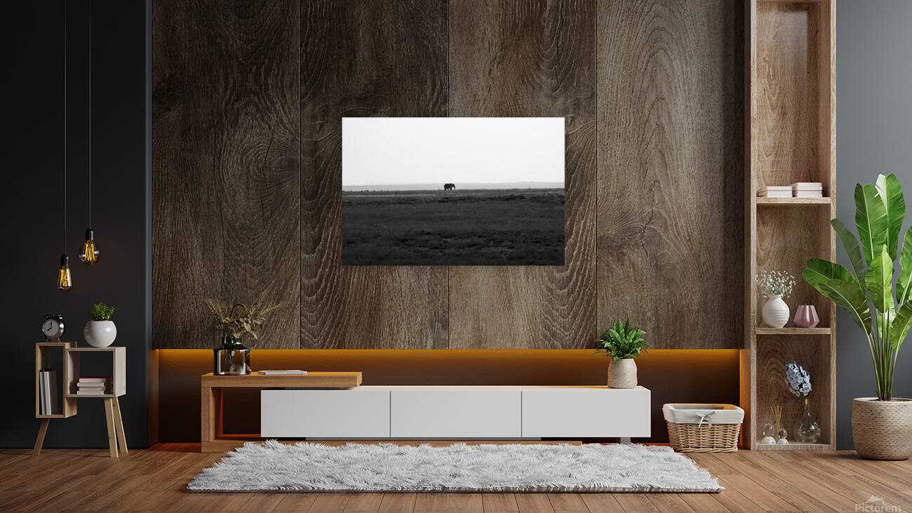 Elephant Amboseli National Park Kenya Reproduction