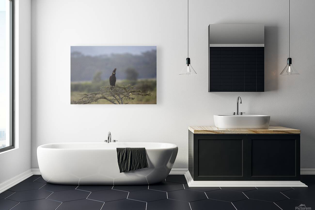 Eagle Lake Nakuru kenya Reproduction