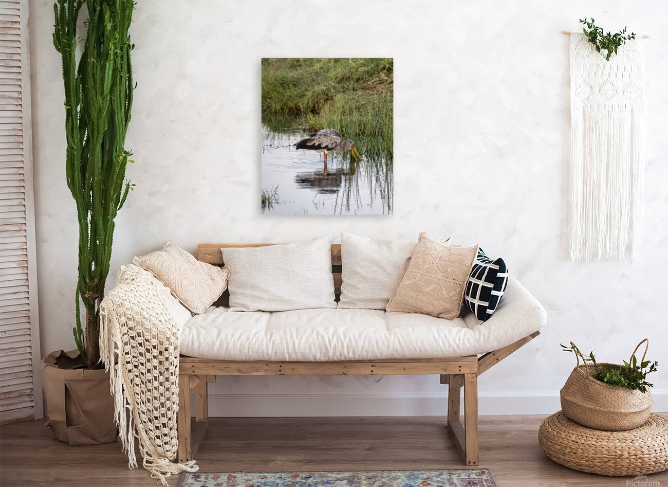 Yellow billed stork Lake Nakuru kenya Reproduction