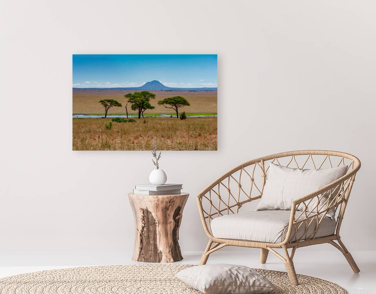 Tarangire National Park Tanzania Africa Reproduction