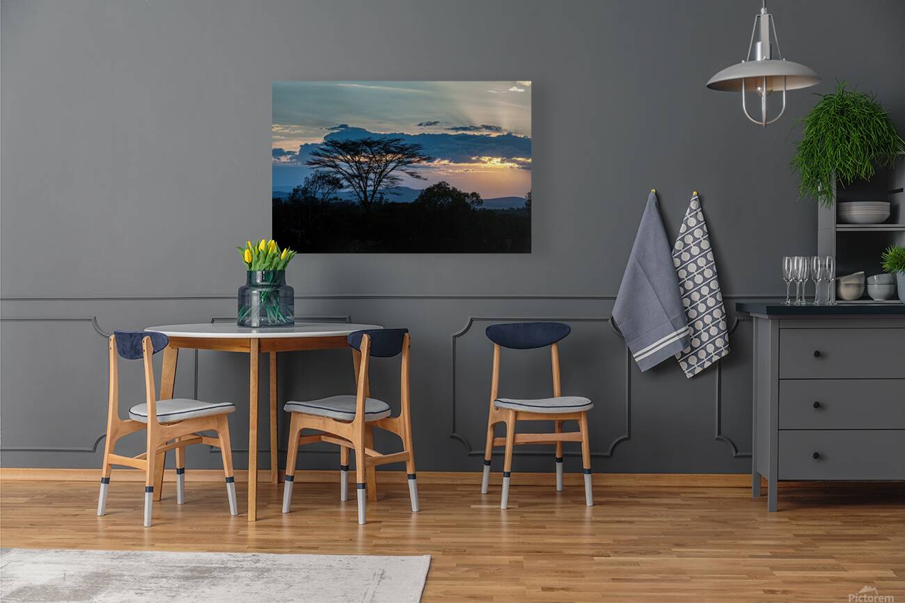 Sweetwaters Kenya Africa Reproduction