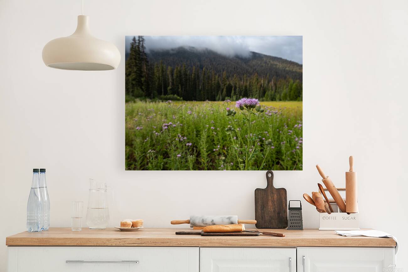 E.C Manning Provincial Park British Columbia Reproduction