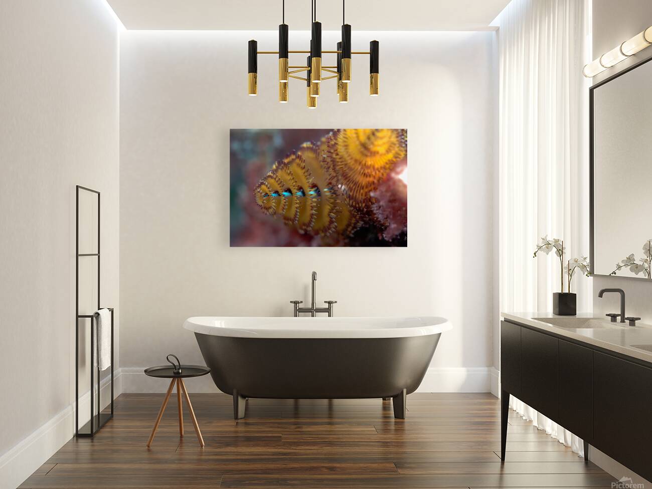 Chritmas tree worm Reproduction