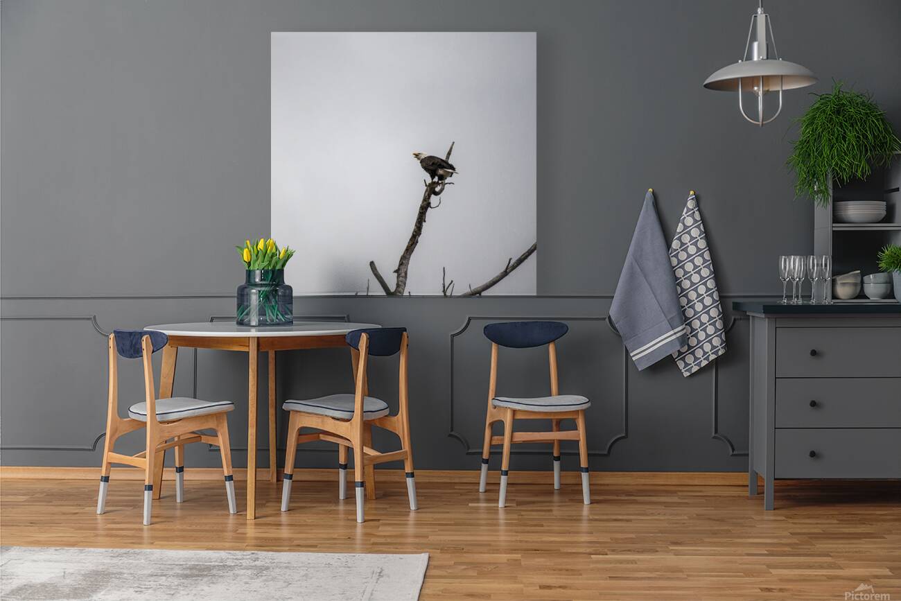 Eagle perched on top of a tree Reproduction