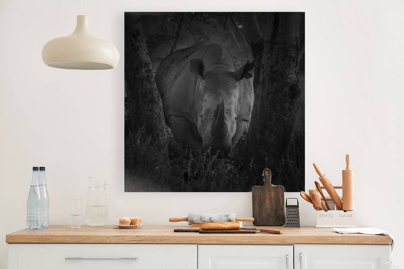 Rhino At Lake Nakuru Africa Reproduction