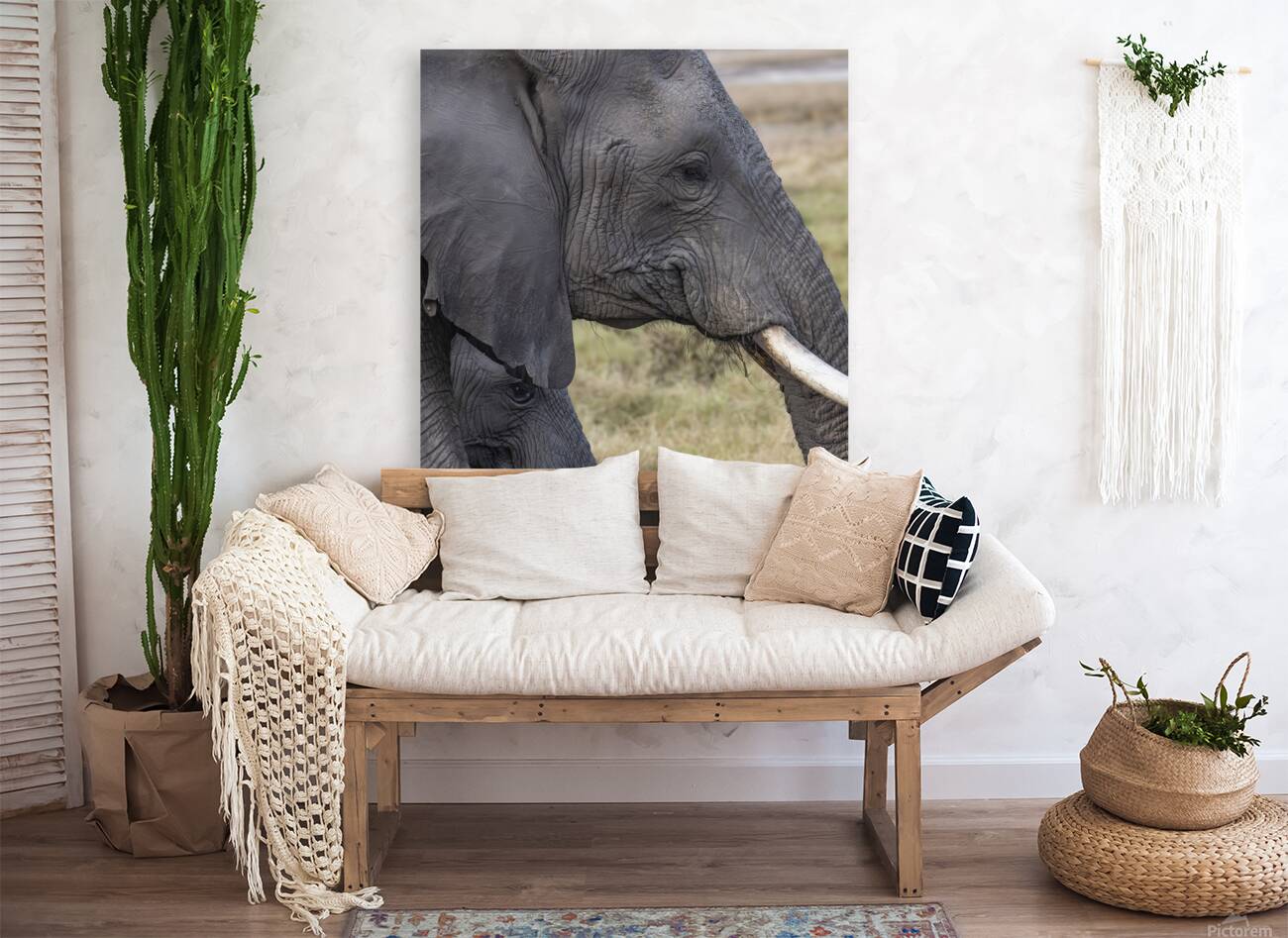 Elephant with baby Amboseli National Park Kenya  Reproduction