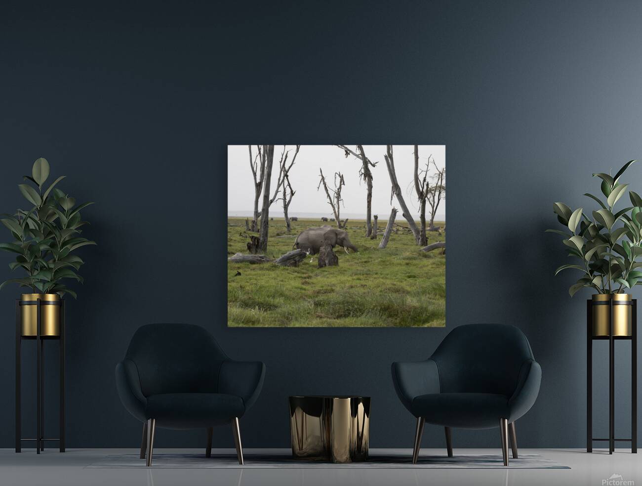 Elephant Amboseli National Park Kenya Reproduction