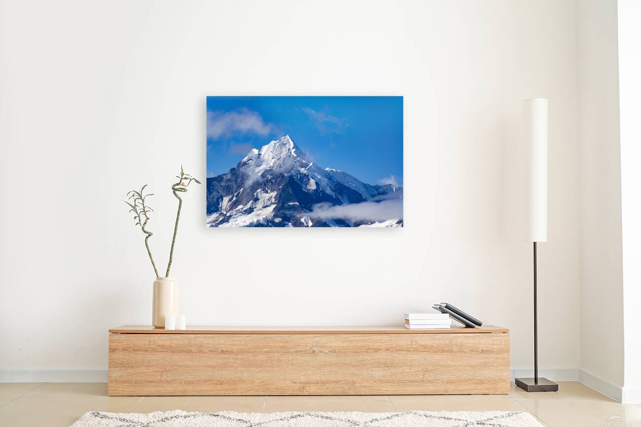 Glacier Bay Reproduction