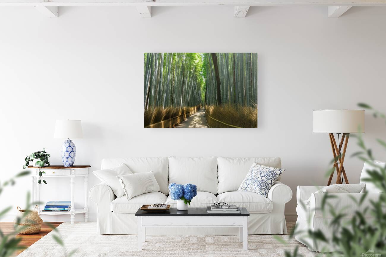 Bamboo forest Kyoto Japan Reproduction