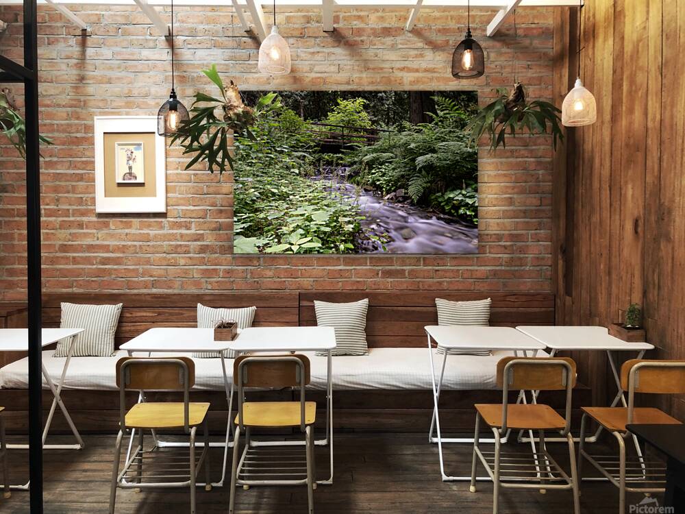 Bridal falls creek Reproduction