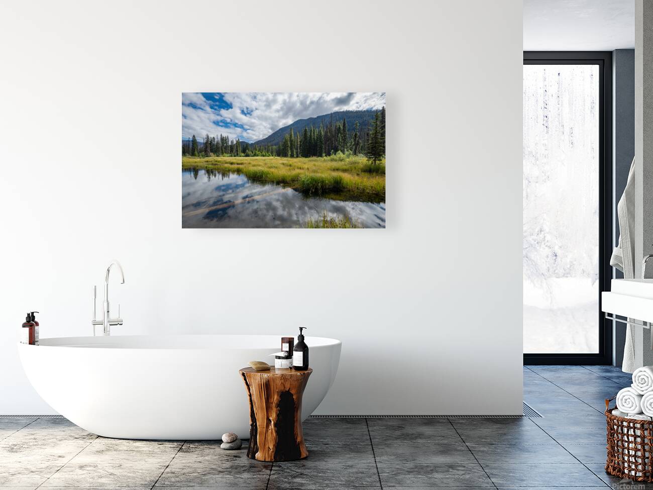 Beaver Pond E.C Manning Provincial Park British Columbia Reproduction