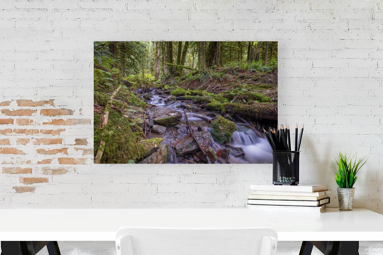 Bridal Creek Chilliwack British Columbia Reproduction