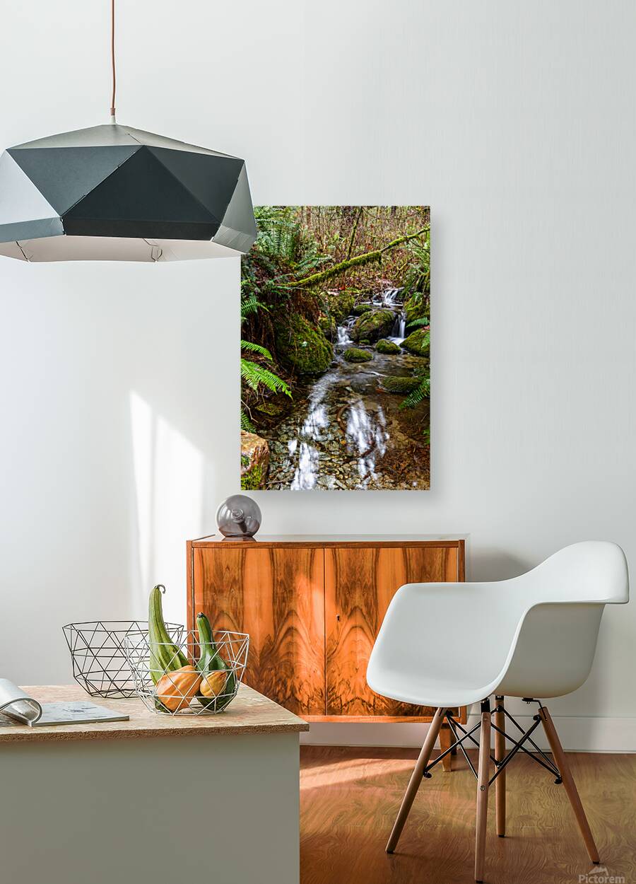 Flowing Creek at golden ears provincial Park British Columbia 2. Reproduction