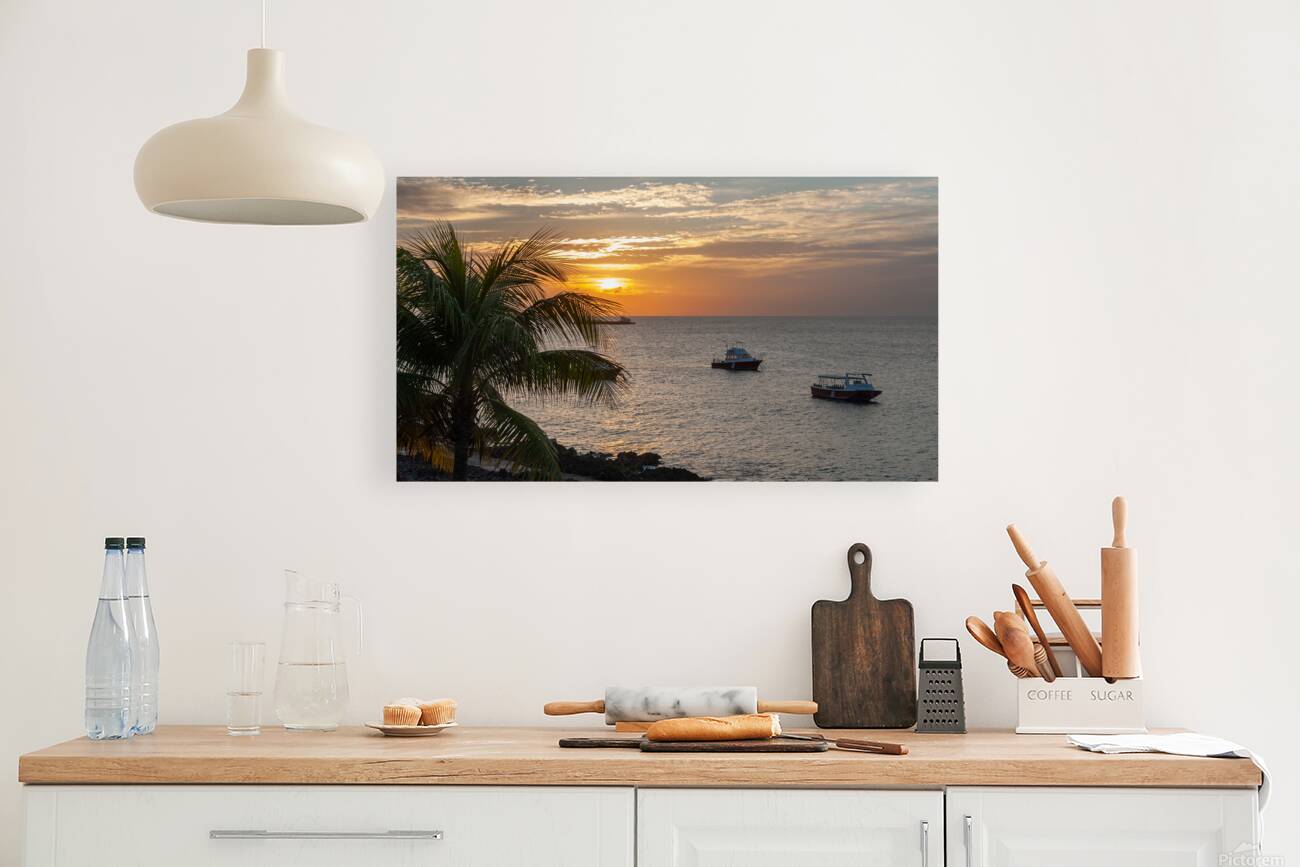 Grand Cayman Island Reproduction