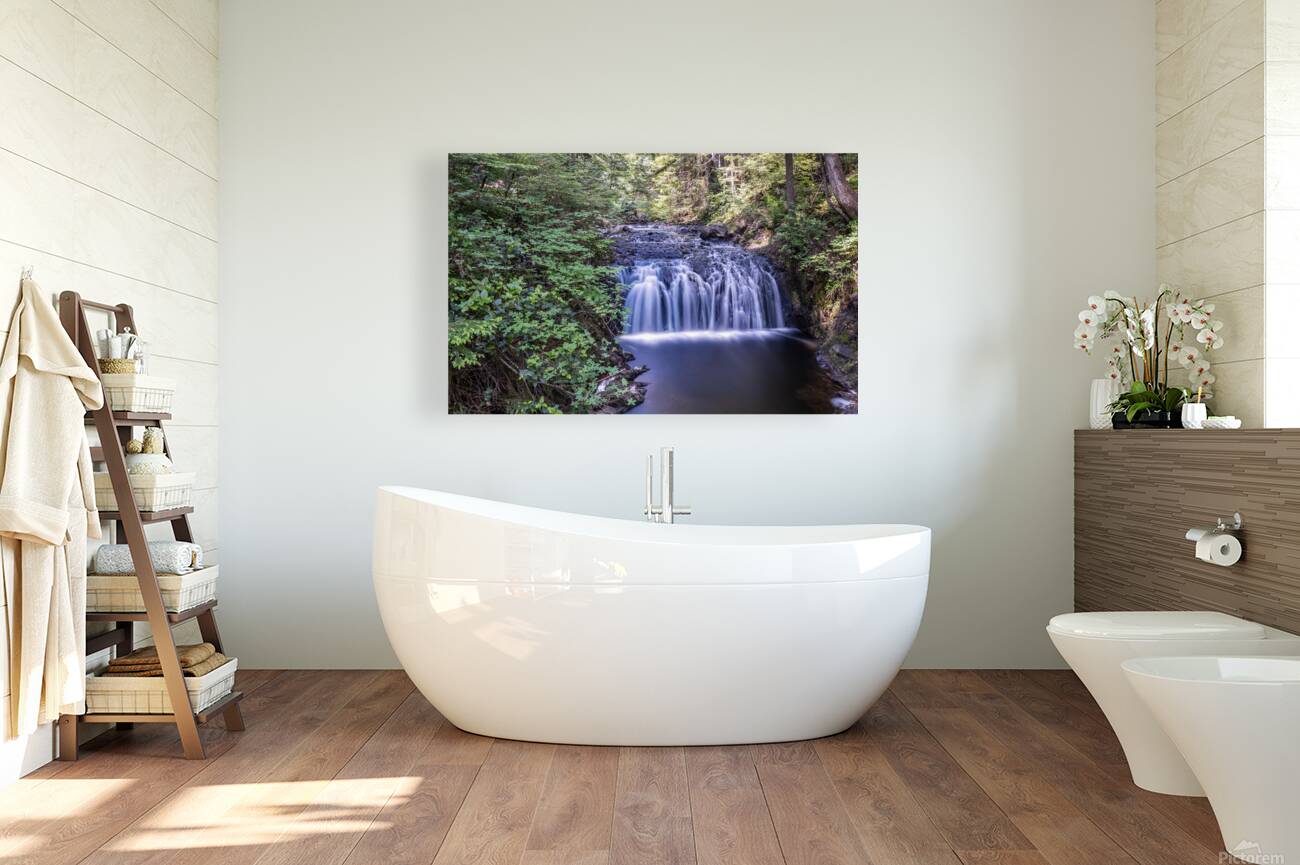 Rolley Lake Mission British Columbia Reproduction