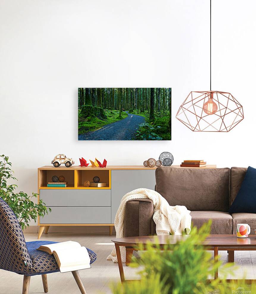 Trail in the woods Reproduction