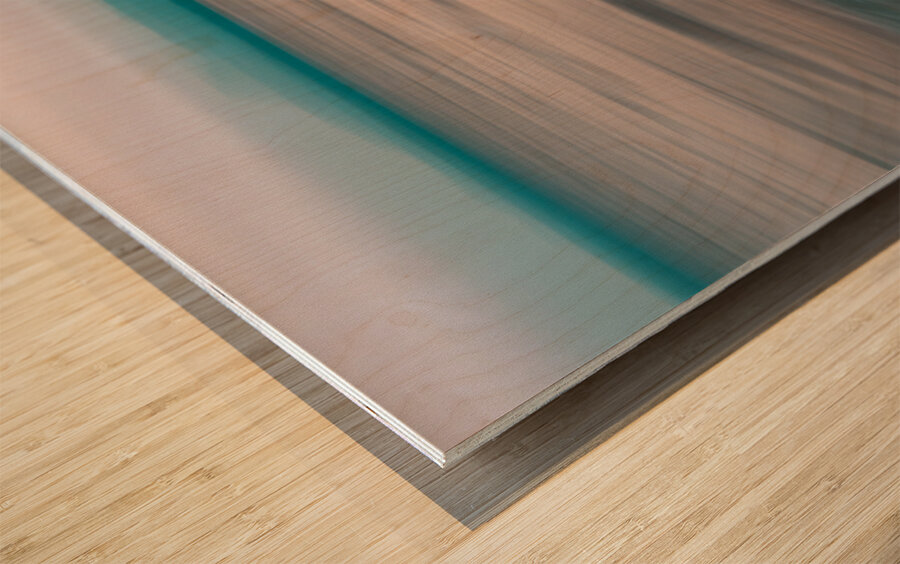 Bay View State Park Washington State USA Wood print