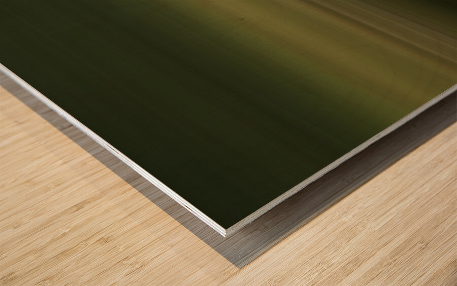 ICM at Golder ears Provincial Park Mike Lake Wood print