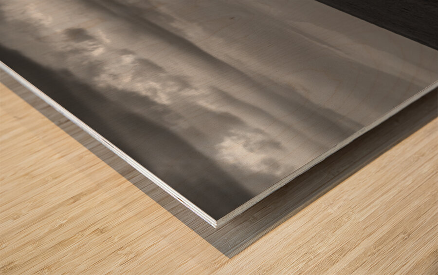 Ashnil Masai Mara Wood print