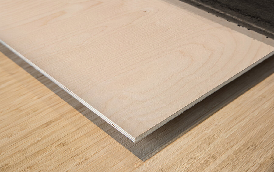 Elephant Amboseli National Park Kenya Wood print