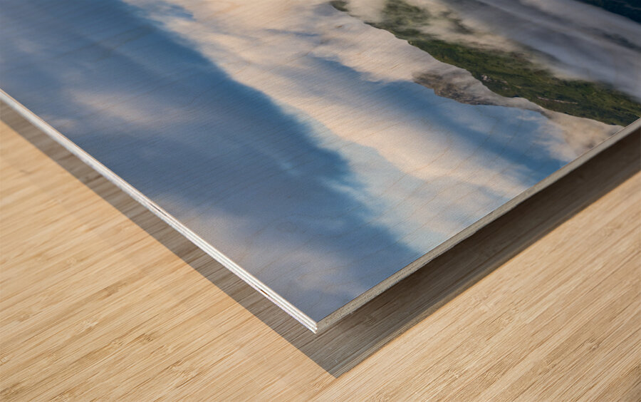 Glacier bay Alaska Wood print