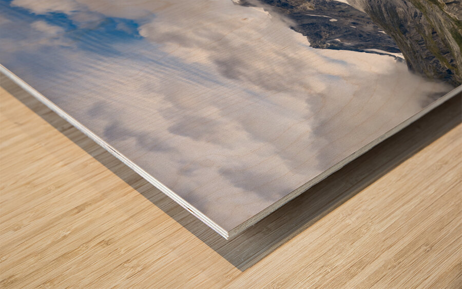 Glacier bay Alaska Wood print