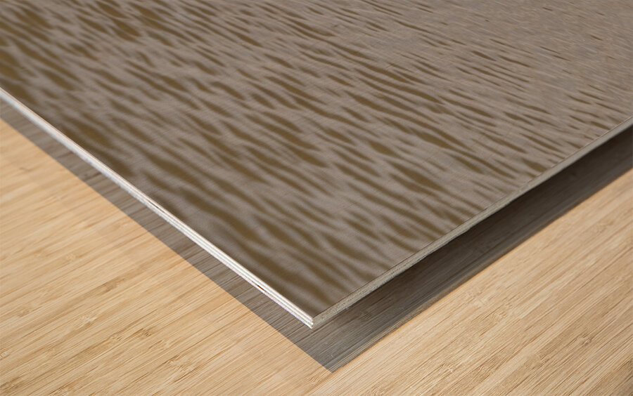 Black winged stilt Sweetwaters kenya Wood print