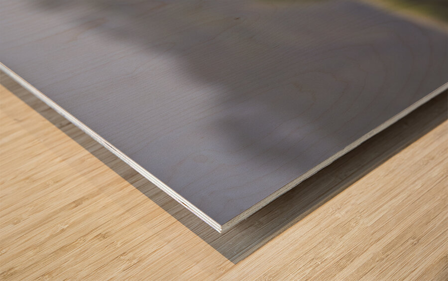 Eagle Lake Nakuru kenya Wood print