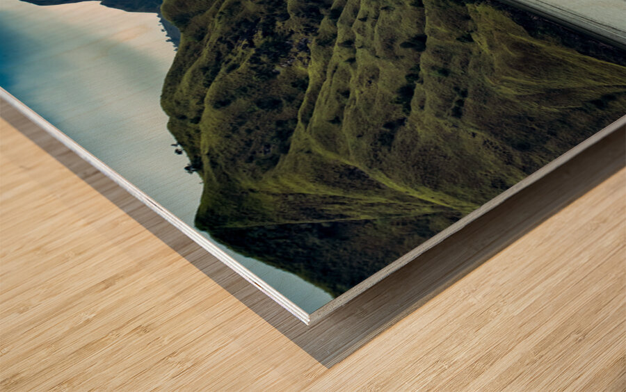 komodo island Wood print